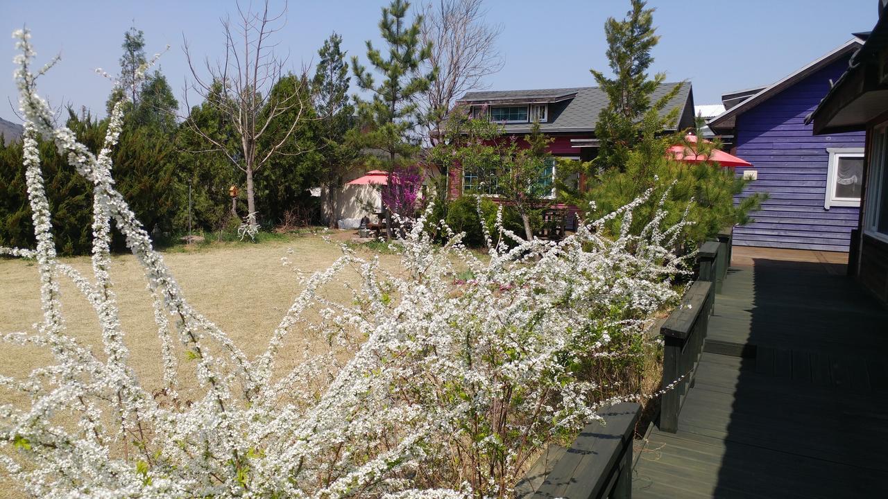 Windflower Villa Gyeongju Exterior photo